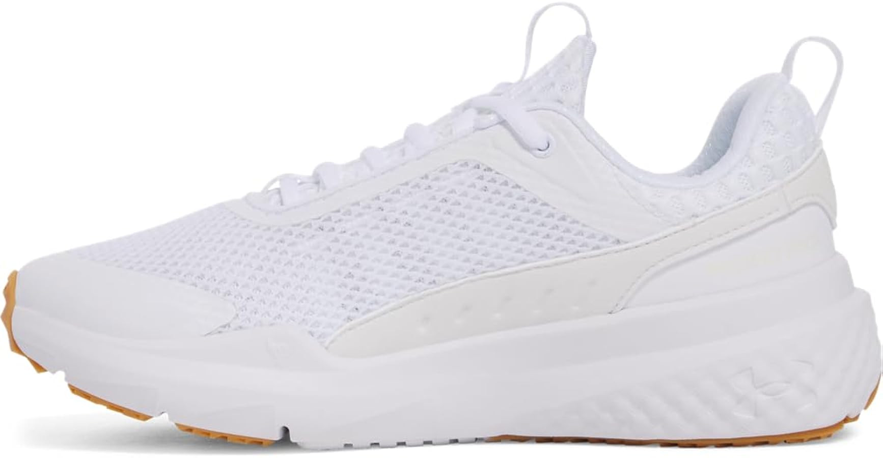 Under Armour Women's Project Rock Blood Sweat Respect 5 Sneaker | Amazon (US)