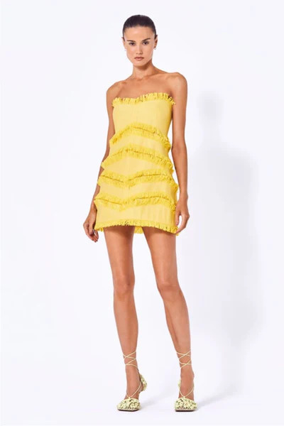 Fione Raffia Fringe-Trimmed Srapless Mini Dress | Belinda International - NOT LIVE