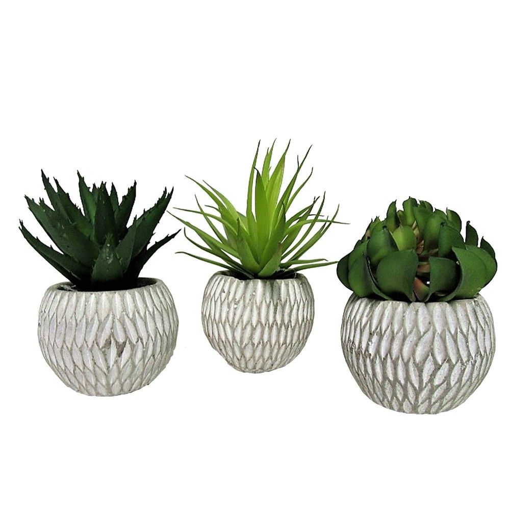 6"" x 12"" Set of 3 Artificial Succulent Plants in Concrete Pot - LCG Florals | Target