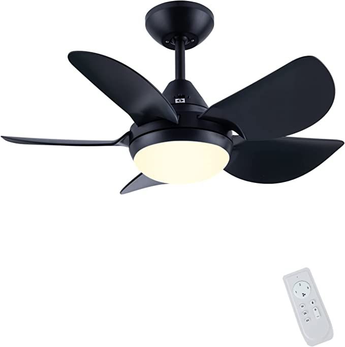 CJOY Ceiling Fan with Lights for Living Room, 30'' Small Modern Ceiling Fan with 5 Reversible Bla... | Amazon (US)