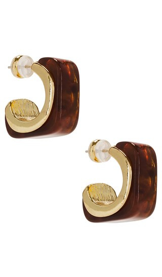 Tort Lucite Hoop in Gold | Revolve Clothing (Global)