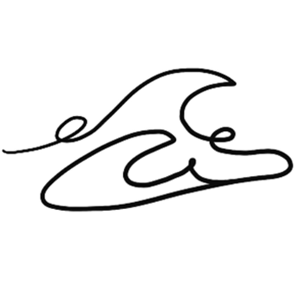 Tropical | Carve Designs