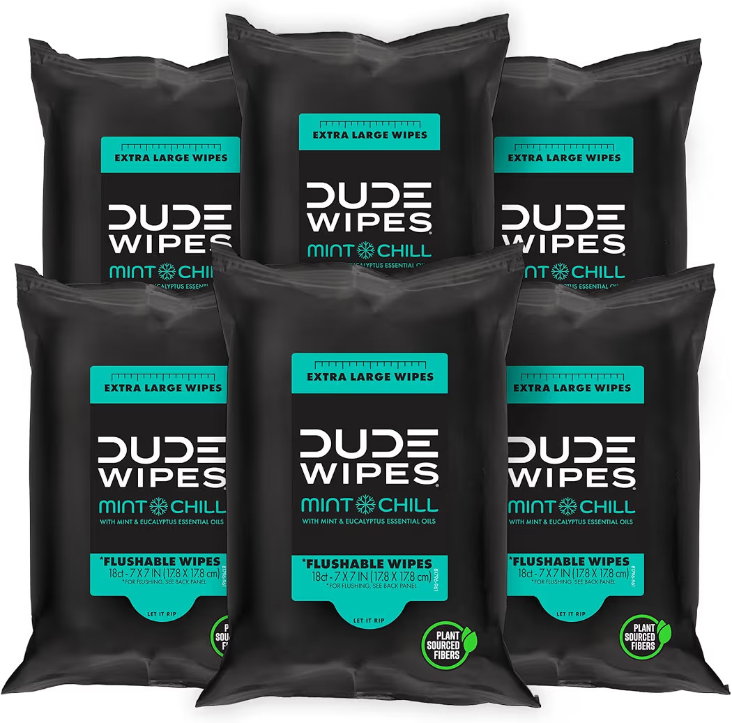 DUDE Wipes - Flushable Wipes Travel Pack - 6 Pack, 108 Count - Mint Chill Extra-Large - Vitamin-E... | Amazon (US)