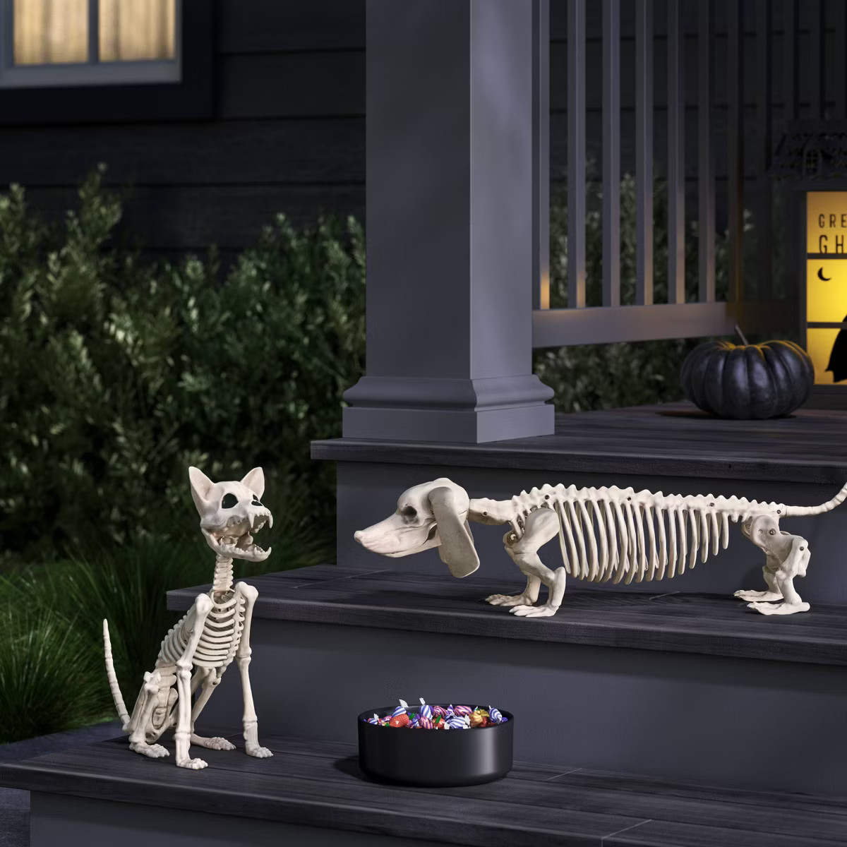 11.5" Chihuahua Skeleton Halloween Decorative Prop - Hyde and EEK! Boutique™ | Target