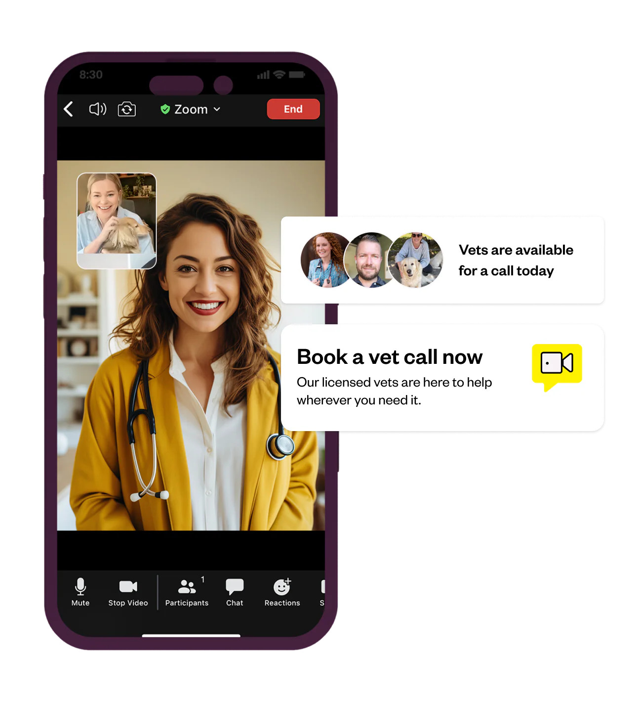 Online vet care & prescriptions, when you need it | Dutch Pet