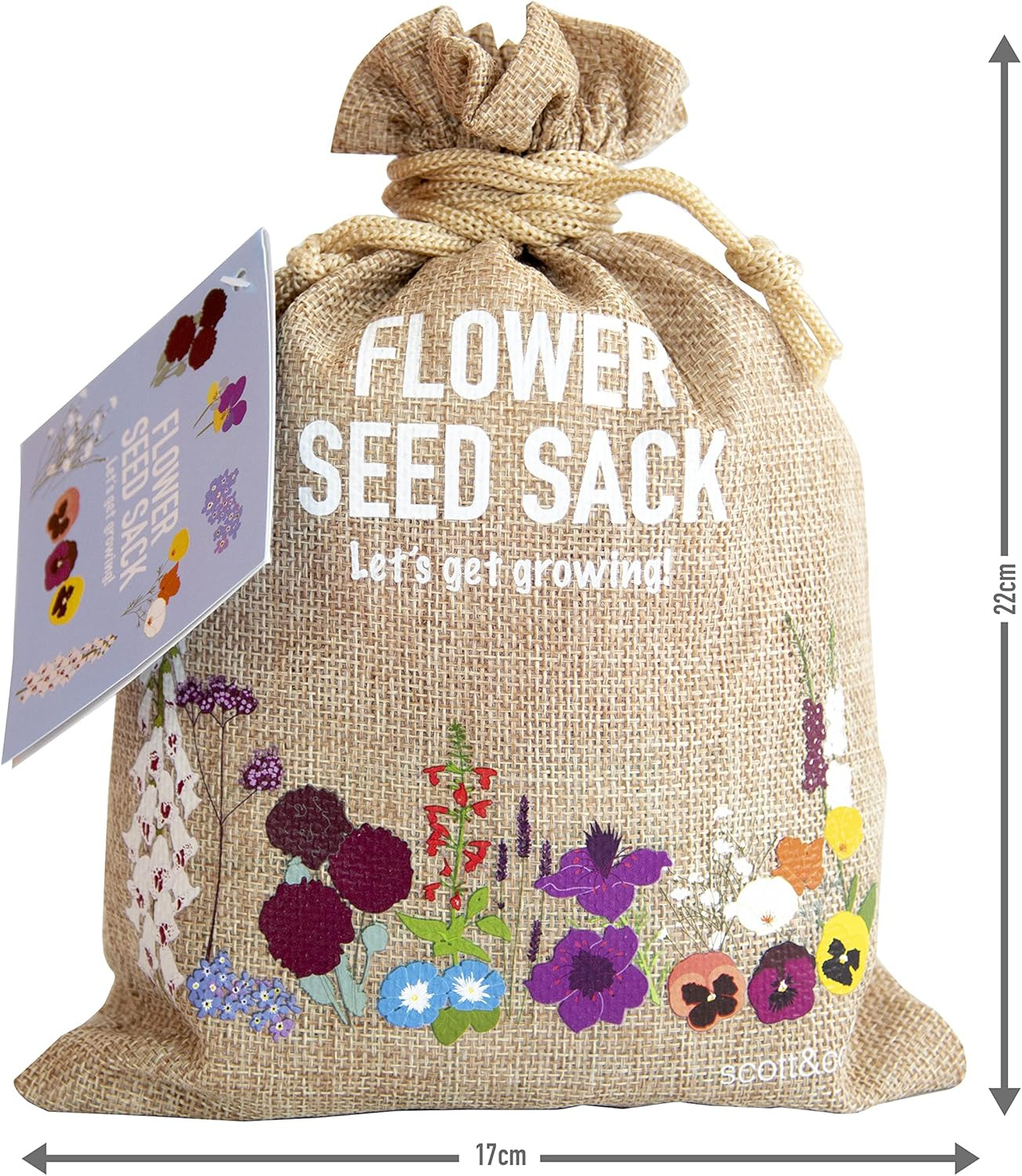 Scott&Co. Flower Seed Variety Pack - 30 Different Varieties of Flower Seeds to Grow Your Own. But... | Amazon (UK)