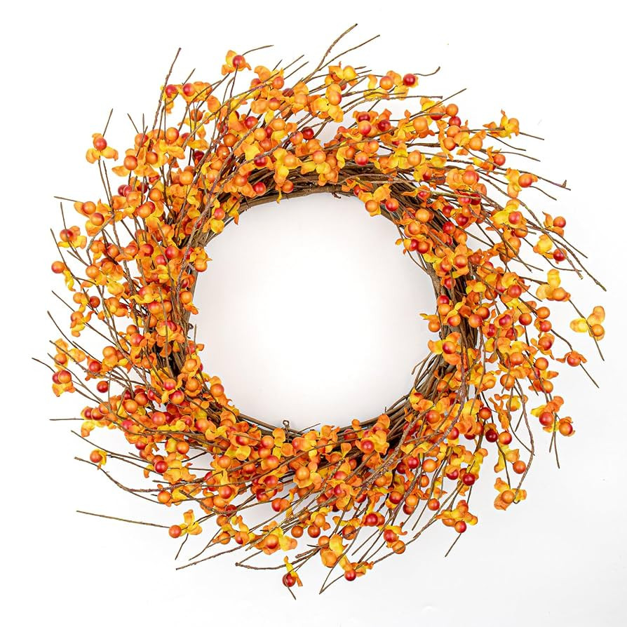 Artificial Fall Wreath 20 Inch Fall Wreaths for Front Door Orange Berry Wreath for Autumn Thanksg... | Amazon (US)
