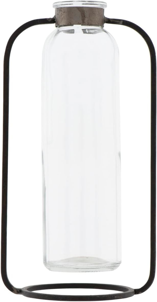 Creative Co-Op Clear Glass Vase in Metal Stand, Black | Amazon (US)