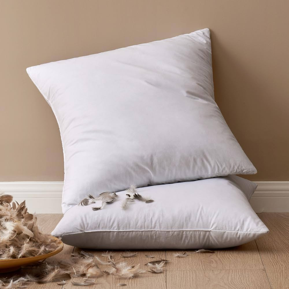 MIULEE 20x20 Pillow Inserts, Pack of 2 Feather Throw Pillow Inserts, Decorative Fluffy Throw Pill... | Amazon (US)