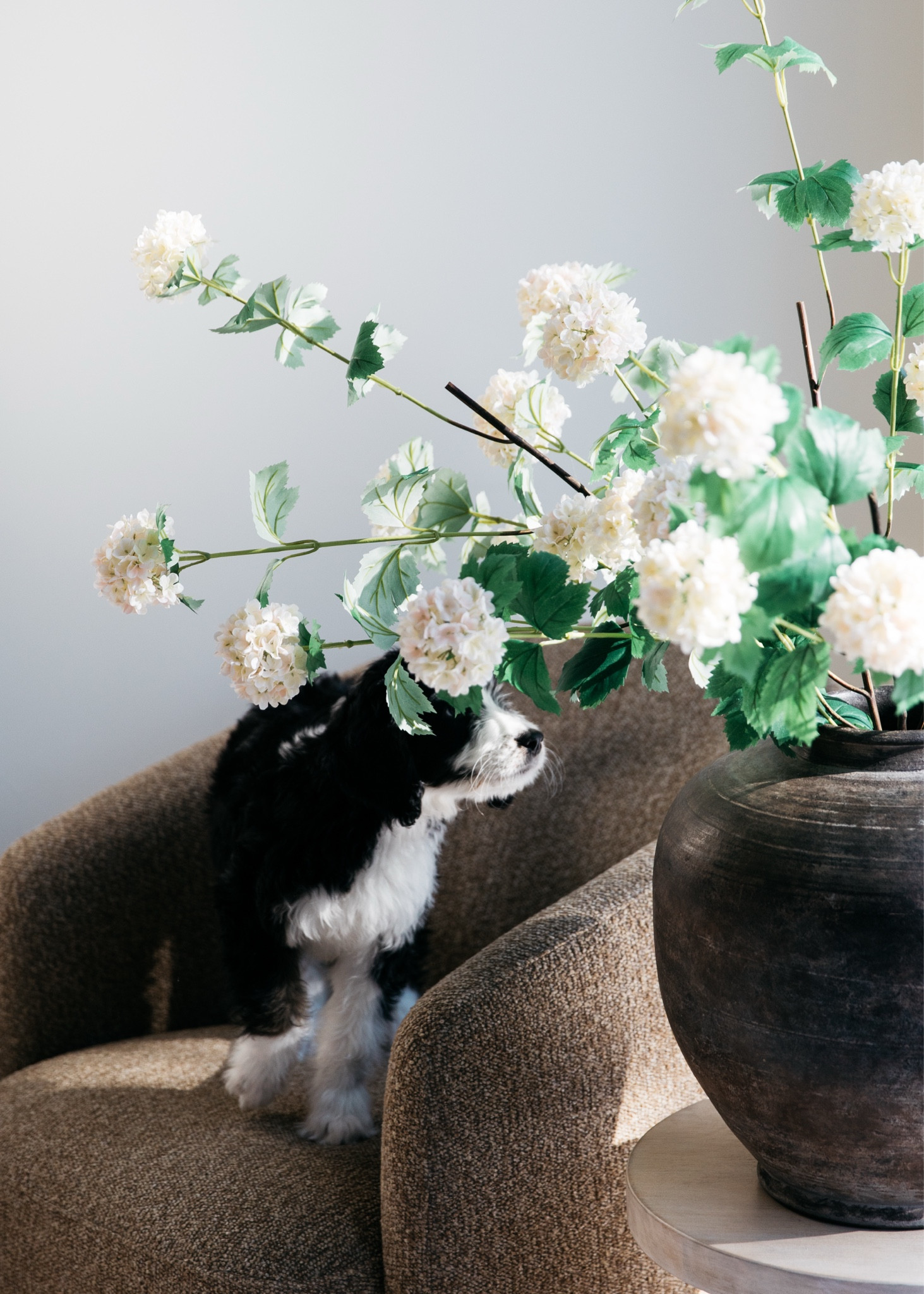 Lulu approves of the spring refresh in the primary bedroom. This corner of the room feels so cozy now.

#LTKSeasonal #LTKStyleTip #LTKHome