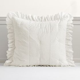 LoveShackFancy Eyelet Euro Pillow Cover | Pottery Barn Teen