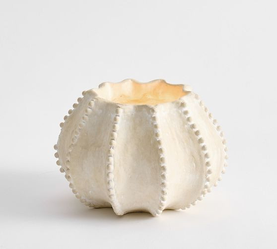 Sea Urchin | Pottery Barn (US)