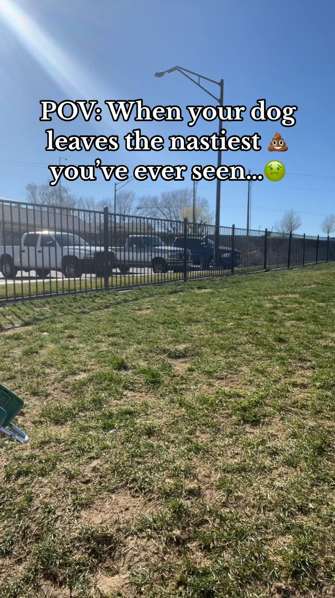 🐾 Calling all dog parents! 🐾
Do you have a furry friend who leaves surprise presents during walks? 🐶💩 Say hello to your new best friend: THIS little gadget!
Grab Yours Here: https://amzn.to/49Bp5IB

🎁 Let me tell you, this thingamajig has revolutionized my dog-walking experience. This little gadget makes it super easy to clean up after my dog, never having to touch anything as the scooper bags it, wraps it, and disposes of it - yep, you read that right! No more awkwardly juggling bags and scoops while trying to keep your pup in check.

I'm telling you, it's like magic! ✨ I Keep it in my purse, so I never leave home without it. Trust me, you'll wonder how you ever managed without it. No more embarrassing moments or smelly mishaps. With this handy-dandy contraption, you'll stroll through the park with ease and grace, leaving nothing but paw prints behind. 🌳🐾 So, fellow dog lovers, say goodbye to the hassle and hello to hassle-free walks! Who knew a little gadget could bring so much joy? 🐕💖 #dogparents #PooperScooper #dogwalking #dogwalks #dogparkfun #doglife #dogmomlife

#LTKVideo #LTKsalealert #LTKhome