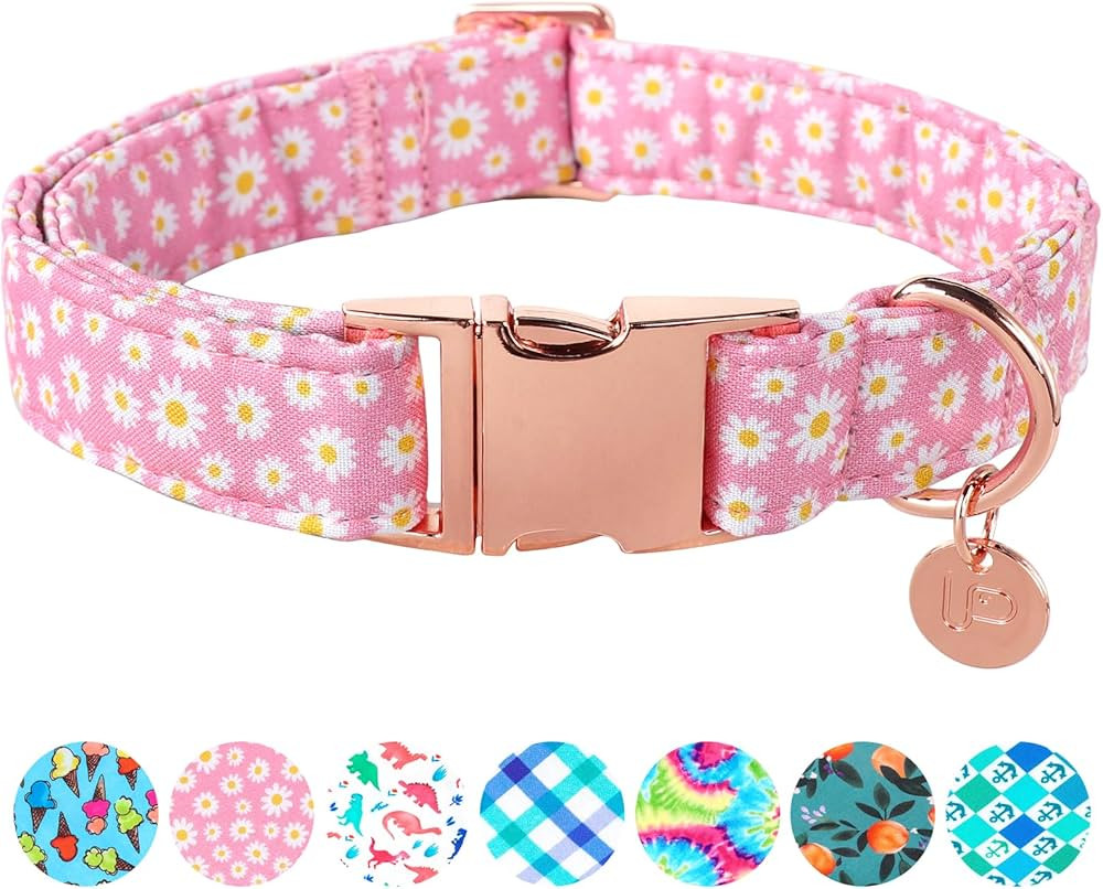 UP URARA PUP Daisy Summer Cotton Dog Collar with Metal Buckle Gift Pink Collar for Small Medium L... | Amazon (US)