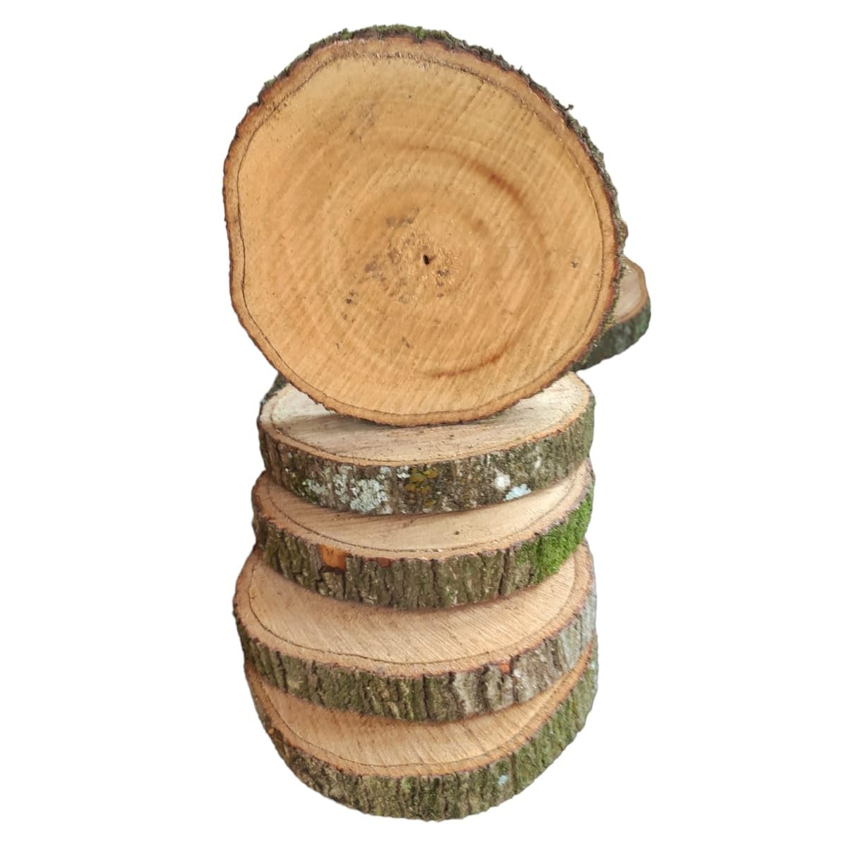 5 Bolachas de madeira tronco rustica decoração 16cm | Amazon (BR)