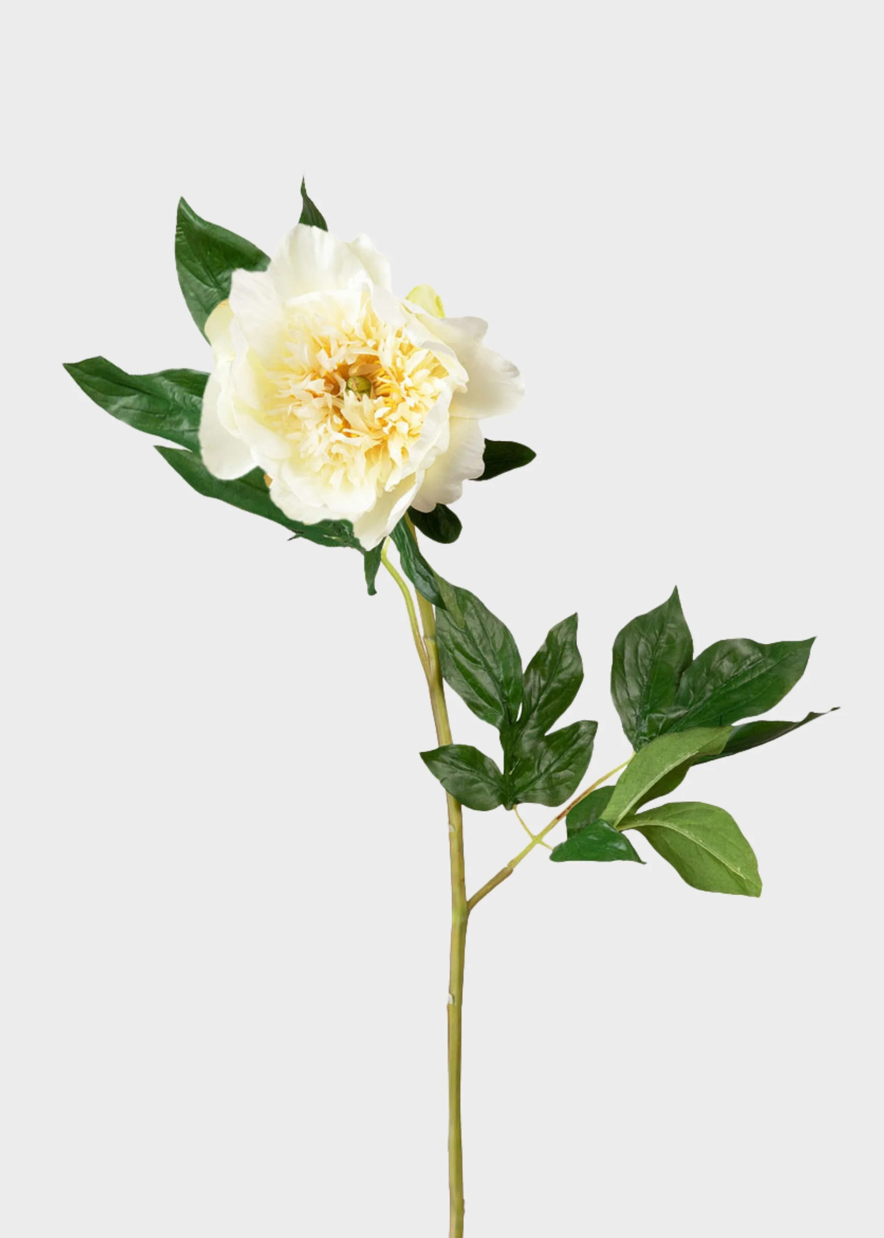 Cream Faux Peony Stem | Artificial Blooming Flowers at Afloral | Afloral