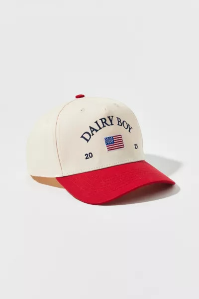 Dairy Boy Americana Snapback Baseball Hat | Urban Outfitters (US and RoW)