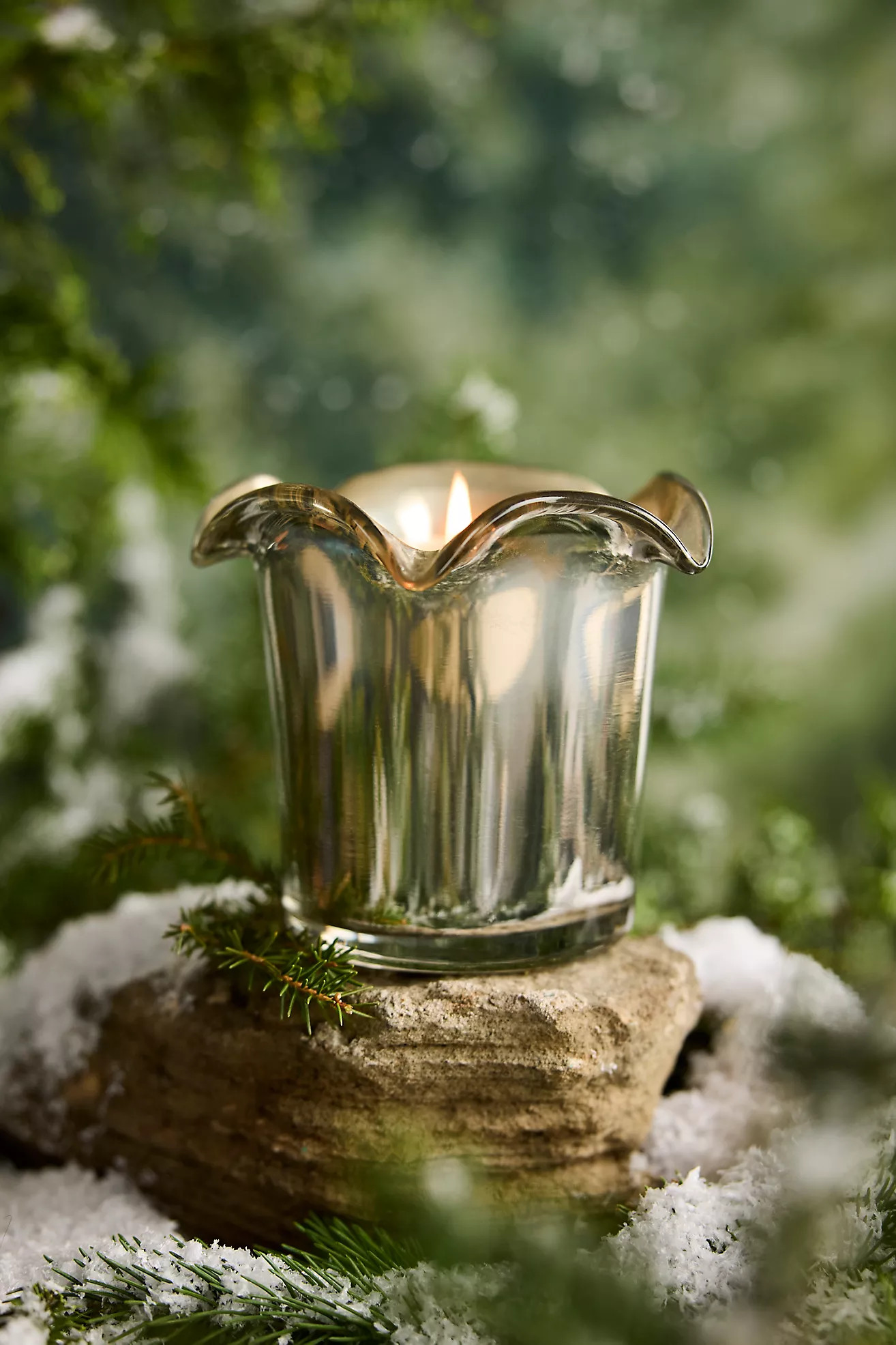 Botaniculture Evergreen Forest Candle | Terrain