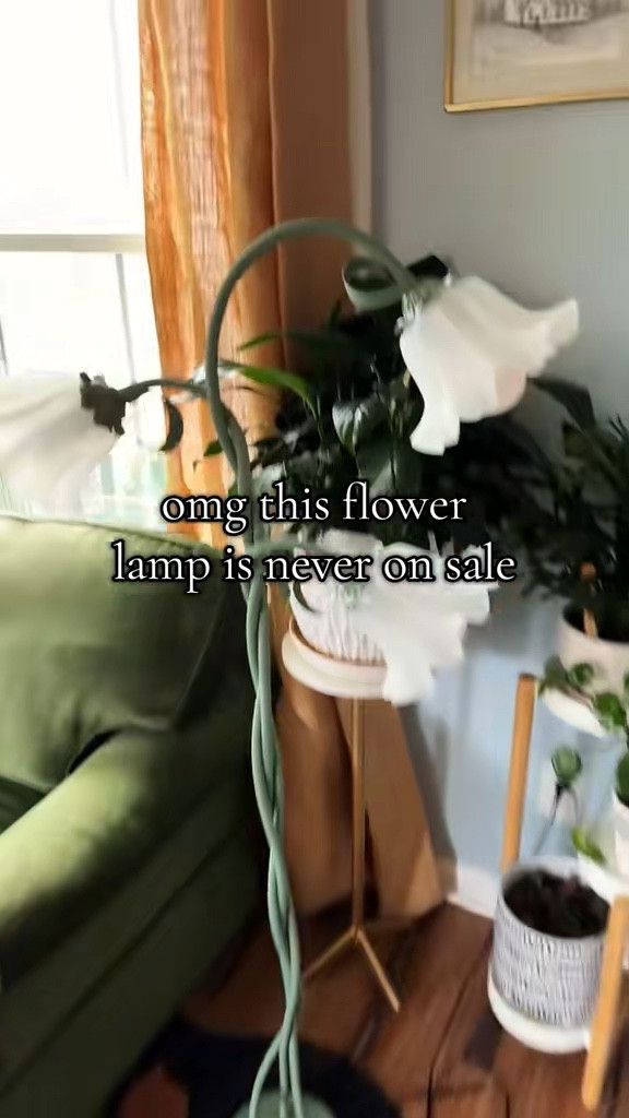 Bloom-core lighting for under $100. This flower floor lamp looks like vintage garden décor but gives you modern LED warmth with adjustable light modes. Such a cute way to make a corner feel intentional and cozy.

#flowerlamp #cozylighting #homedecorfinds #aestheticlamp #amazonhomestyle #cornerdecor #warmlighting

#LTKCyberWeek #LTKHome #LTKSaleAlert