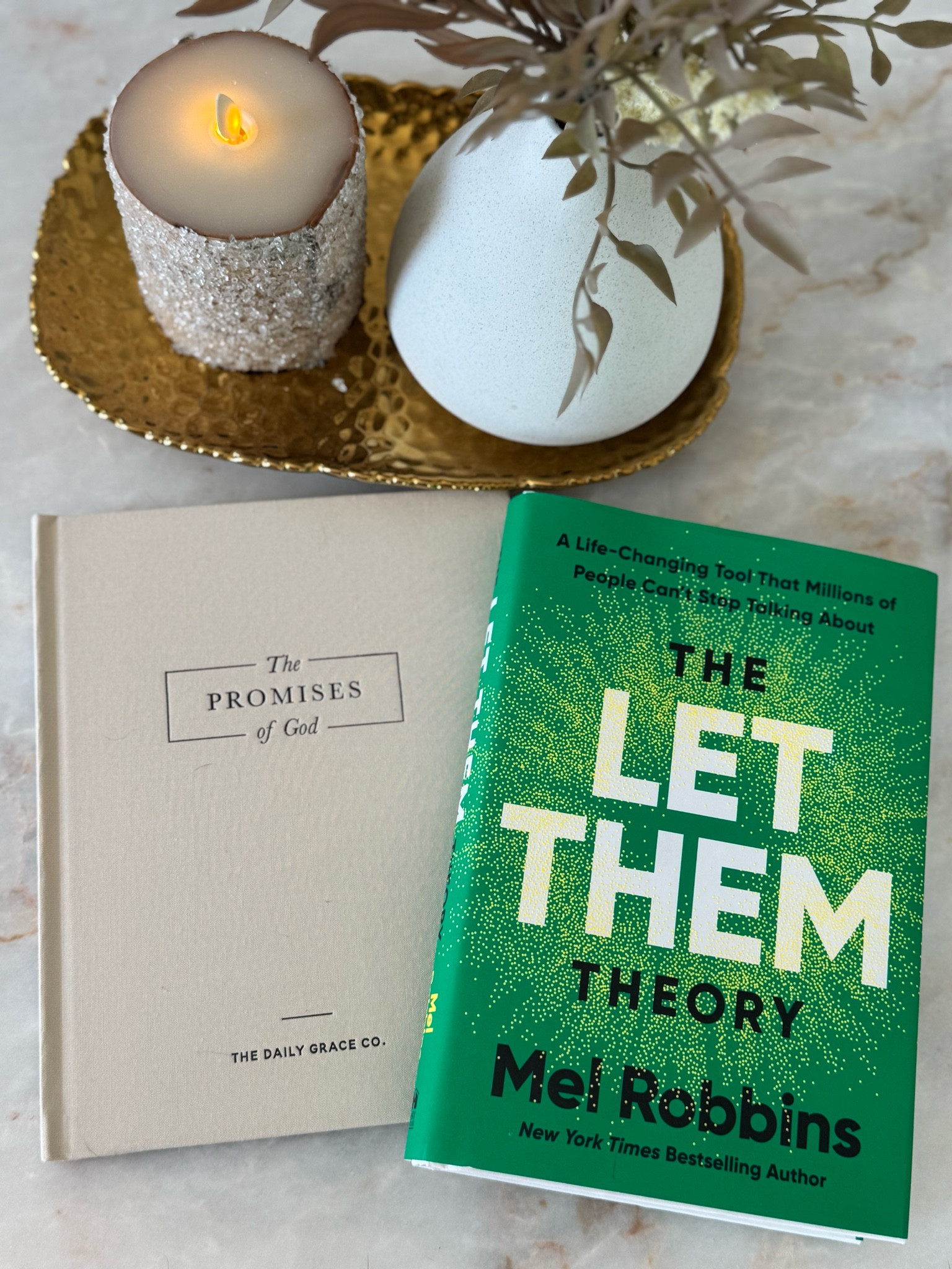 Our current books for morning quiet time! The Let Them Theory by Mel Robbins & The Promises of God by The Daily Grace Co. 