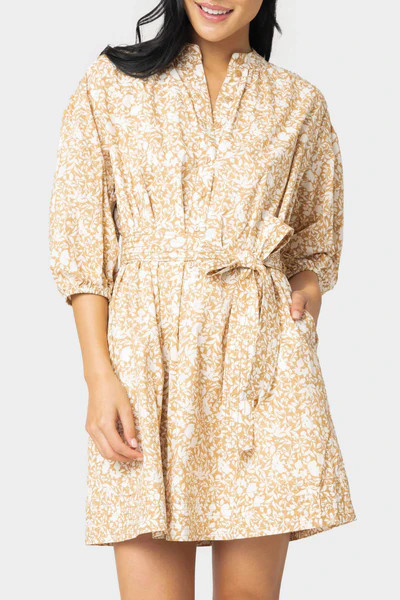 Ambition Puff Sleeve Belted Dress | Gibson