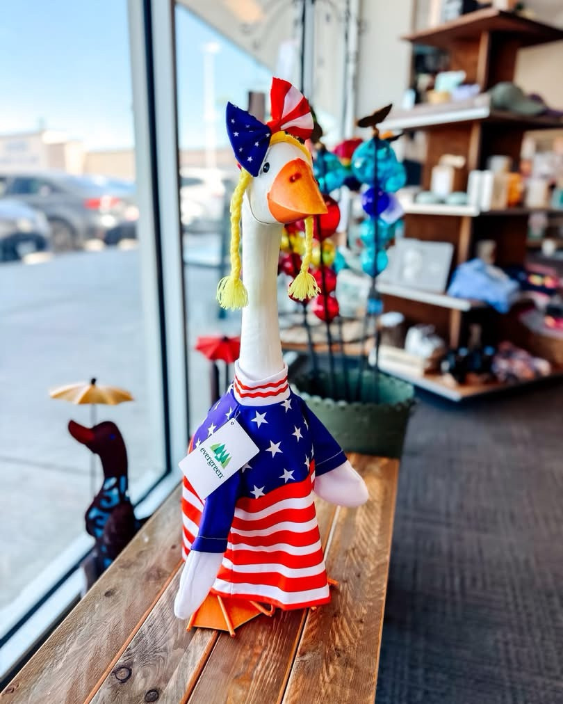 YALL STOPPPPPP!!!! 

The Hallmark store has a metal porch goose and a bunch of different clothing options!!! 

I cannot with a yellow polkadot bikini!! 😍

They are by the brand, Evergreen. I’m wondering if I can find these online… 

#porchgoose #Goose #HomeDecor #PorchDecor #FunFinds #Hallmark #HallmarkStore

#LTKSpringSale
