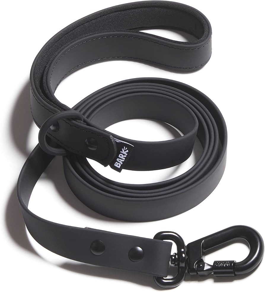 Barkbox Dog Leash (Medium, Black) | Amazon (US)