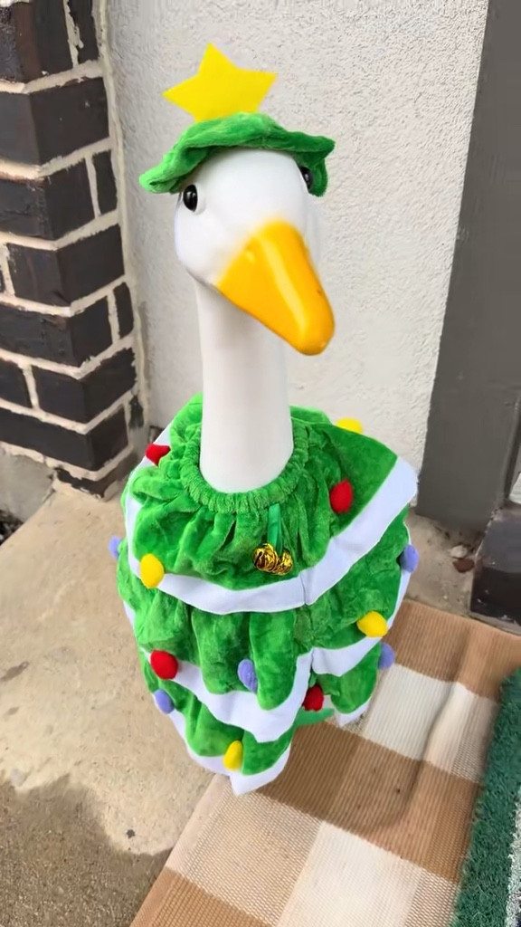 I am a staunch no Christmas until after Thanksgiving person. I know that’s an unpopular opinion 🤣 and don’t get me wrong, I love Christmas! 

Now that it’s December, it’s time to Florance’s outfit change! 

#LTKGiftGuide #LTKSeasonal #LTKHoliday