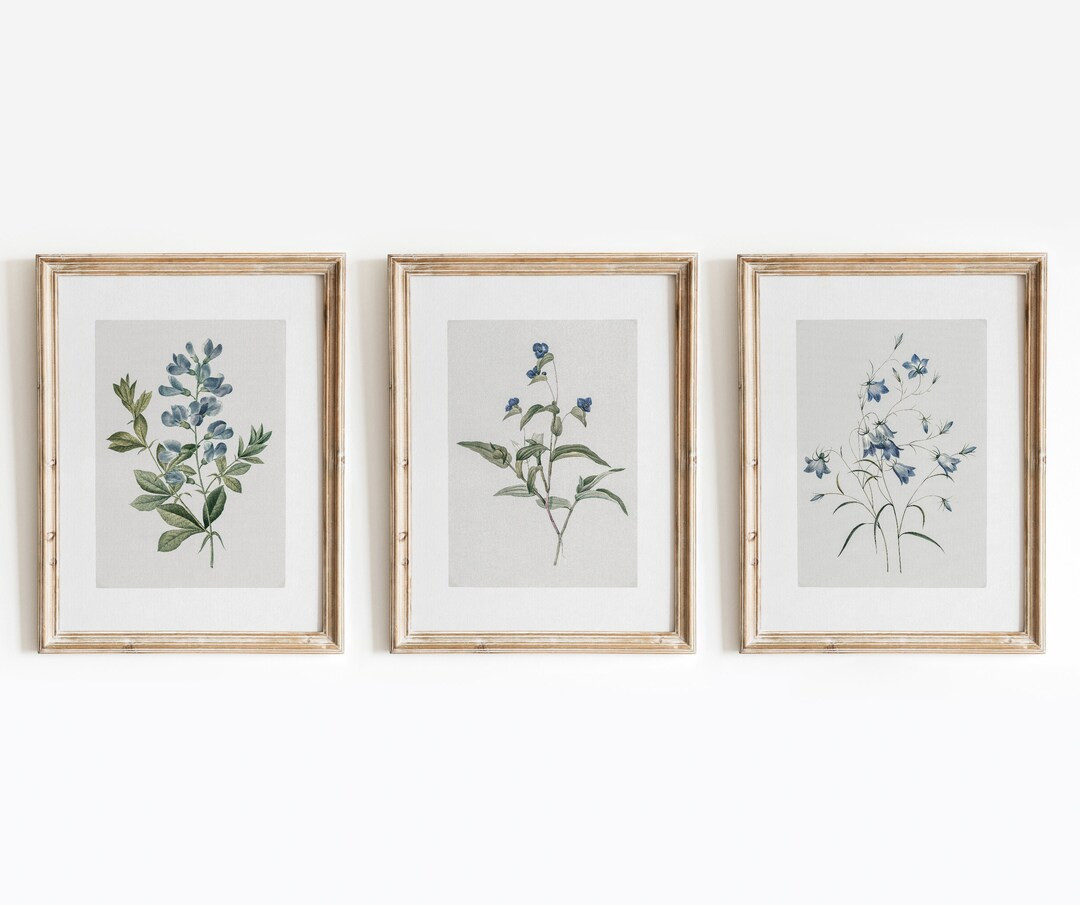 Blue Botanical Set of 3 | Vintage Flower Paintings | Floral Indigo Minimal Art | Digital Download... | Etsy (US)