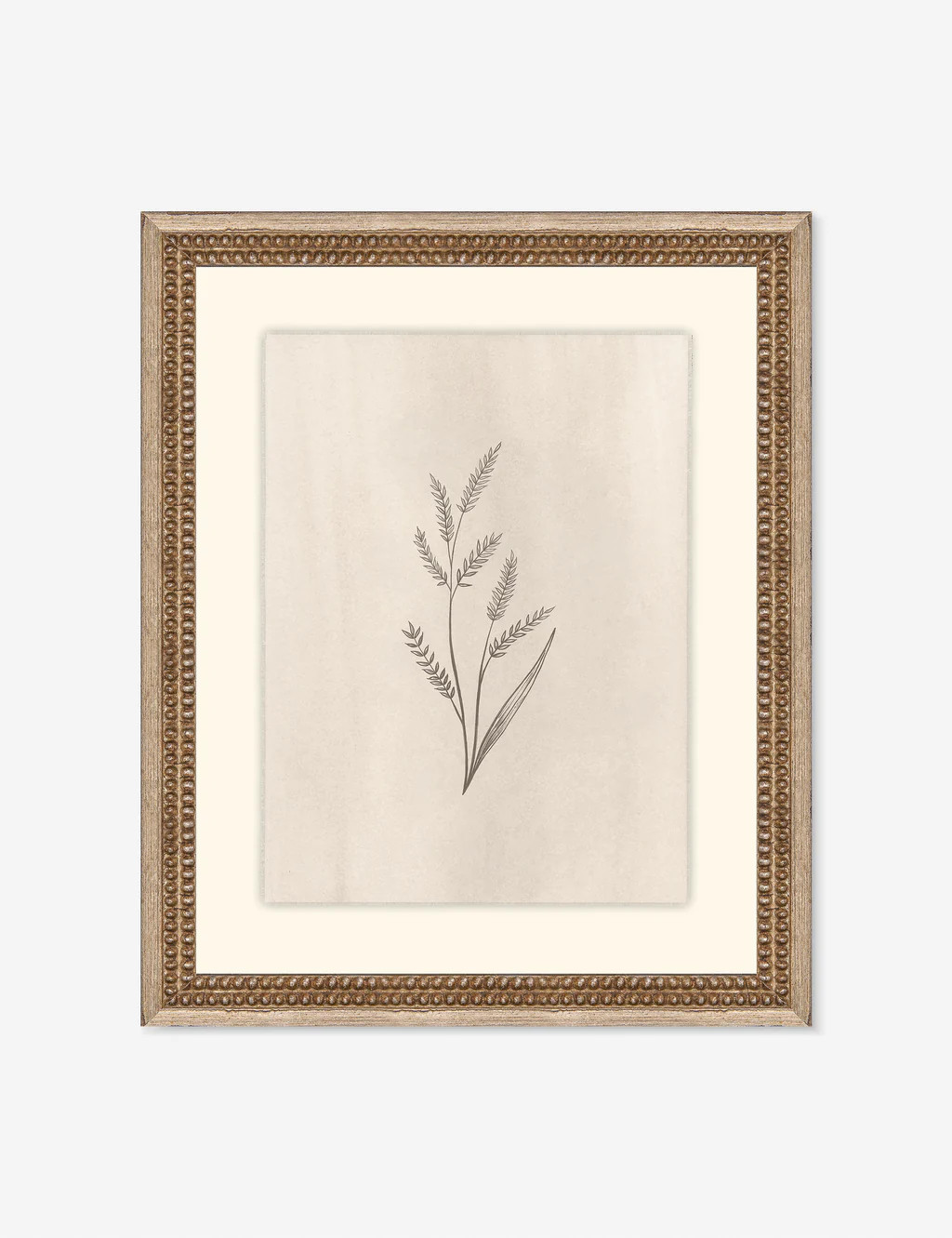 Elegant Botanical II Wall Art | Lulu and Georgia 