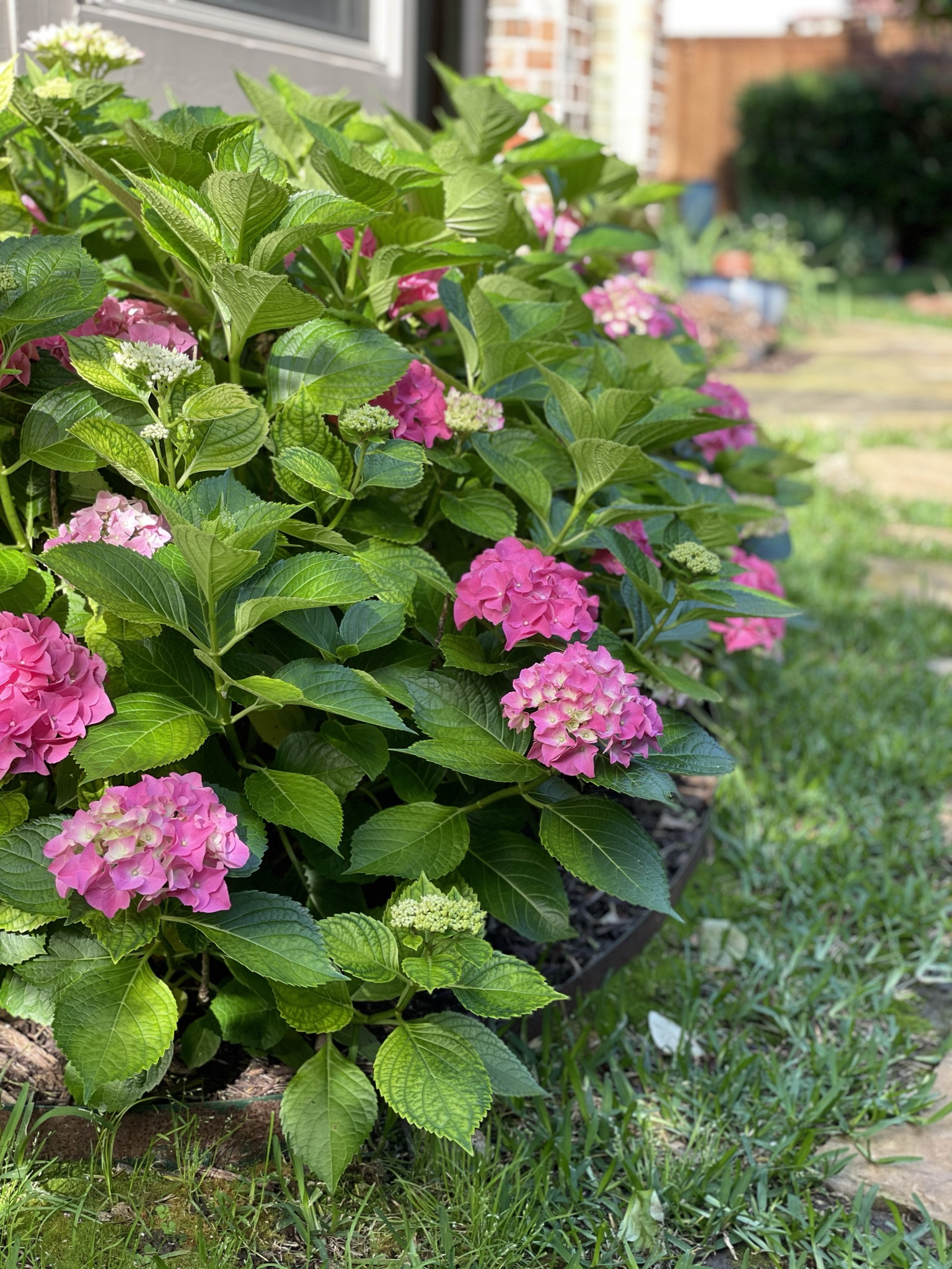 Earth Smiles in Flowers! Are you a gardener? Do you love to potter around your little corner of the earth, you might like these gardening essentials 

#LTKtravel #LTKSeasonal