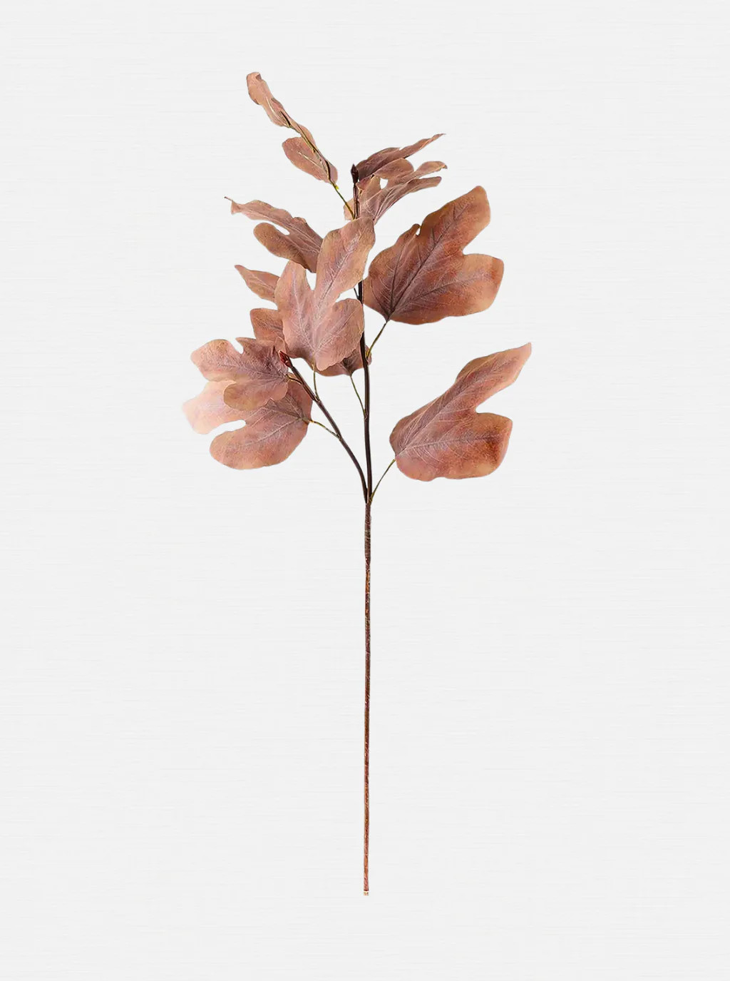 Faux Autumn Fig Stem | House of Jade Home