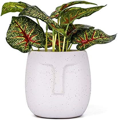 VanEnjoy 5.5 Inches White Ceramic Head Face Planter Pot for Plants, Modern Indoor/Outdoor Vase, F... | Amazon (US)