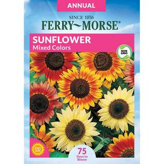 Sunflower Mixed Colors Flower Seeds | The Home Depot