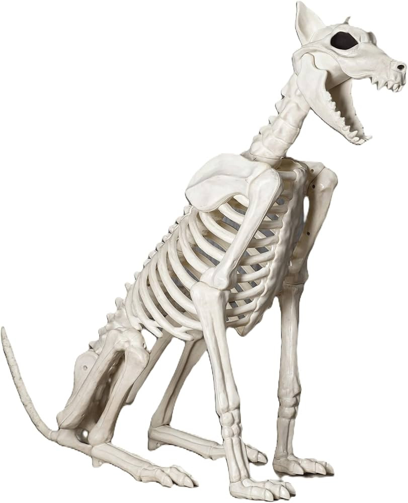 Crazy Bonez Skeleton Dog - Badger Bonez | Amazon (US)