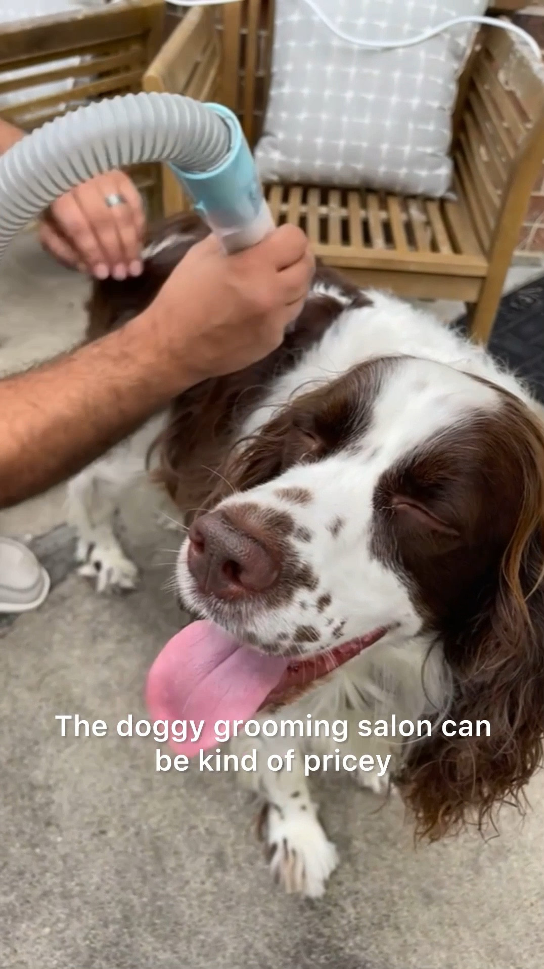 If you are a pet parent with fur babies, listen up! It’s all in one grooming kit helps us manage all the shedding by brushing, detangling, de-shedding, de-matting…
You can even trim your dogs further with the clippers that are included. And there is a vacuum to suck up all the hair, so you don’t have to deal with the mess! 

It literally does everything except bathe your dog for you! Once your puppy is clean, it even becomes a vacuum to dry their fur. 

It is specifically made for pets, so the volume level is very low, ensuring that you’re not hurting your dogs ears, and the heat is just enough to get them dry without burning their skin. We love this, because it makes the whole dog grooming experience safe and stress-free for both of us!

#LTKPets #LTKGiftGuide