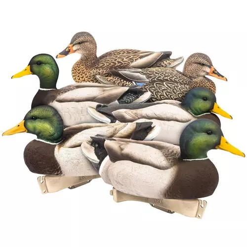 Dave Smith Decoys Maxima Mallard Duck Decoys 6 Pack | Scheels Sports