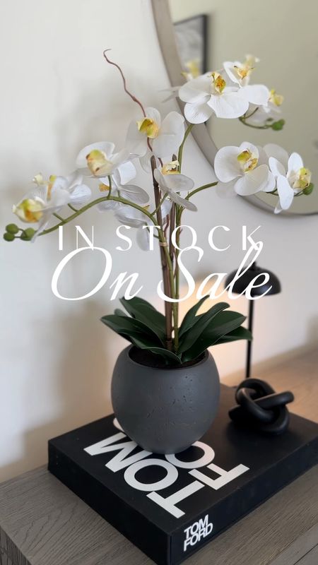 My stunning lifelike faux white orchid arrangement is on sale for Memorial Day weekend - cannot recommend this enough as it is so realistic down to the feel of the petals. 

👉🏼 Use code MAY20 at checkout 

Orchid indoors // faux flowers indoors // modern decor // lifelike flowers // #cghunterpartner

#LTKSaleAlert #LTKVideo #LTKHome