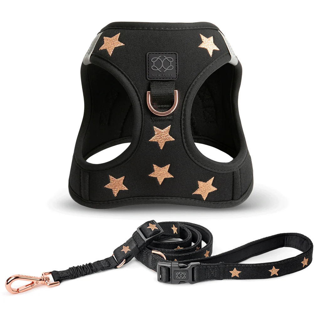 City Leash Set - Rockstar | DOGISTRY