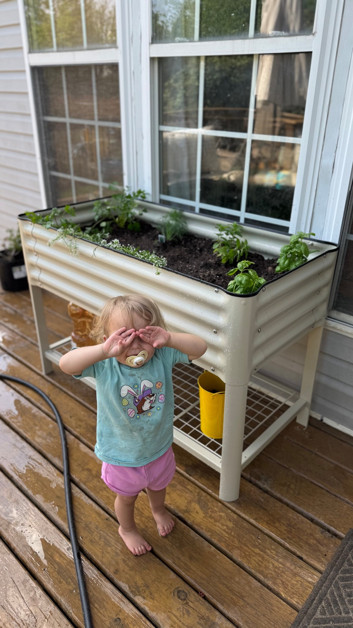 Non toxic elevated deck garden bed on sale! 

#LTKMothersDay #LTKSaleAlert #LTKHome