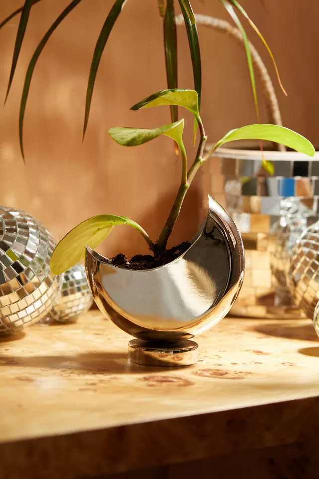 Half Moon 4" Planter | Urban Outfitters (US and RoW)