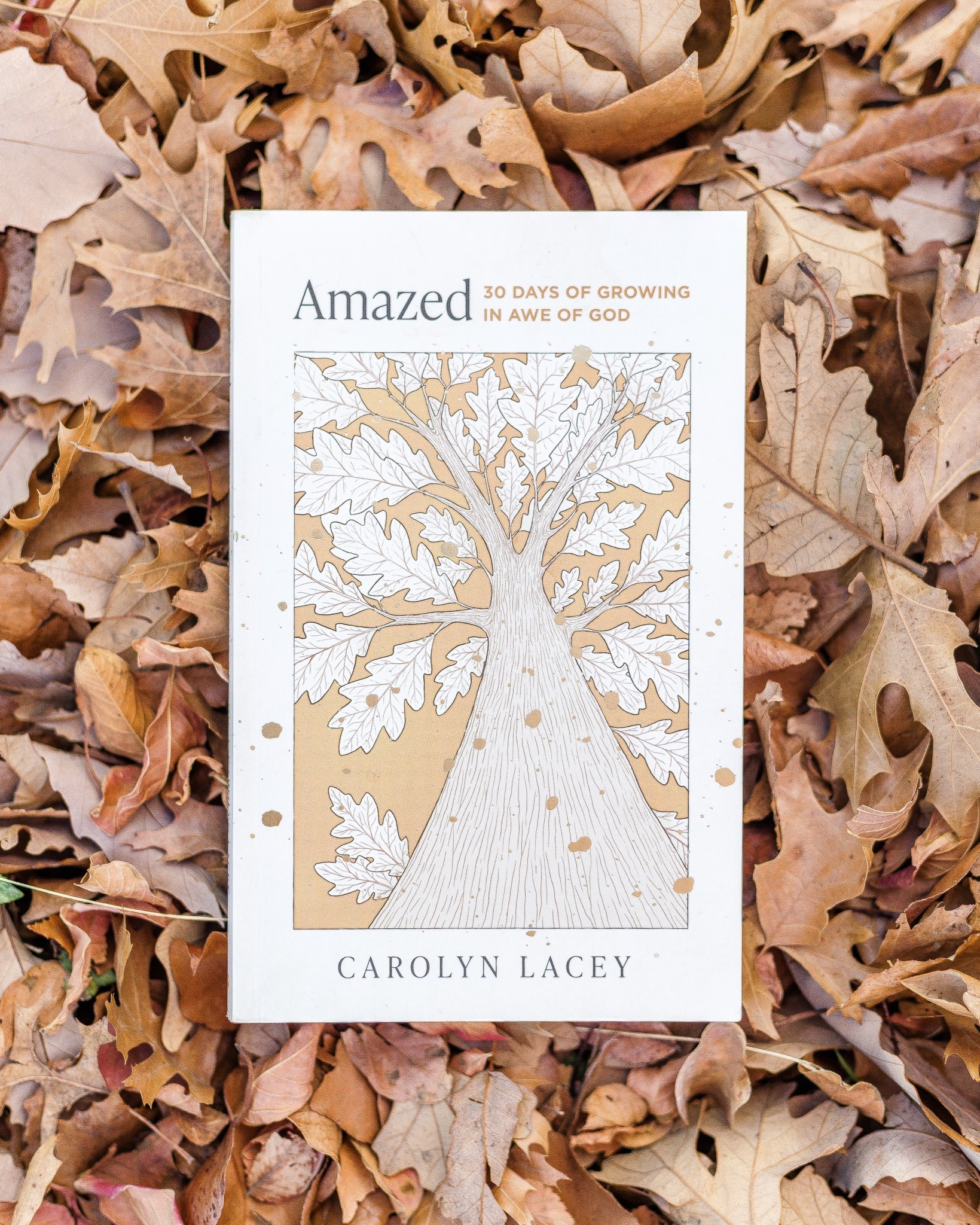 If you want to grow in awe of God, grab a copy of Carolyn Lacey’s Amazed devotional! It’s full is biblical encouragement and centered on Jesus! 

#LTKstorytime #LTKselfcare #LTKmomlife