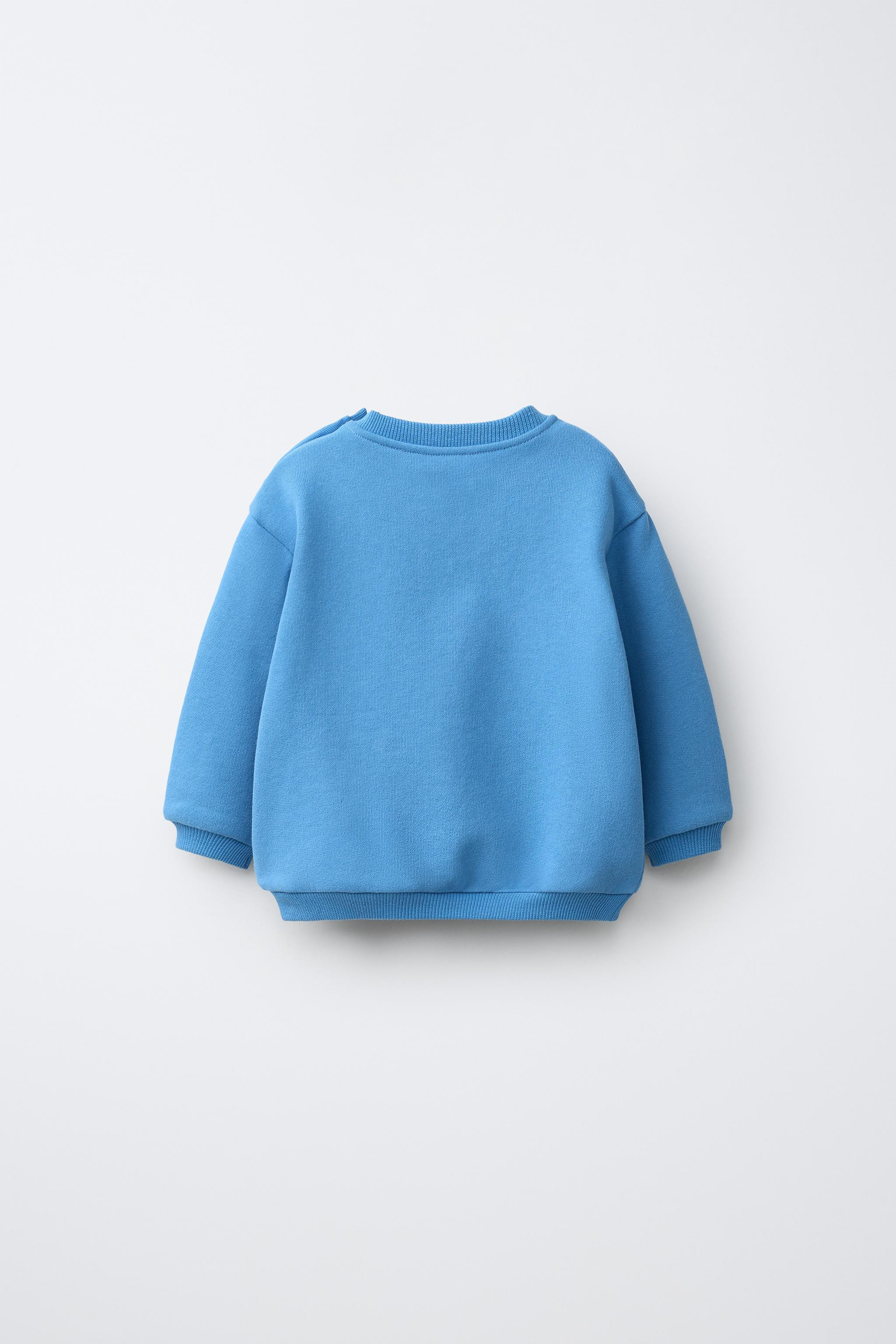 EMBROIDERED TERRY PELICAN SWEATSHIRT | Zara UK