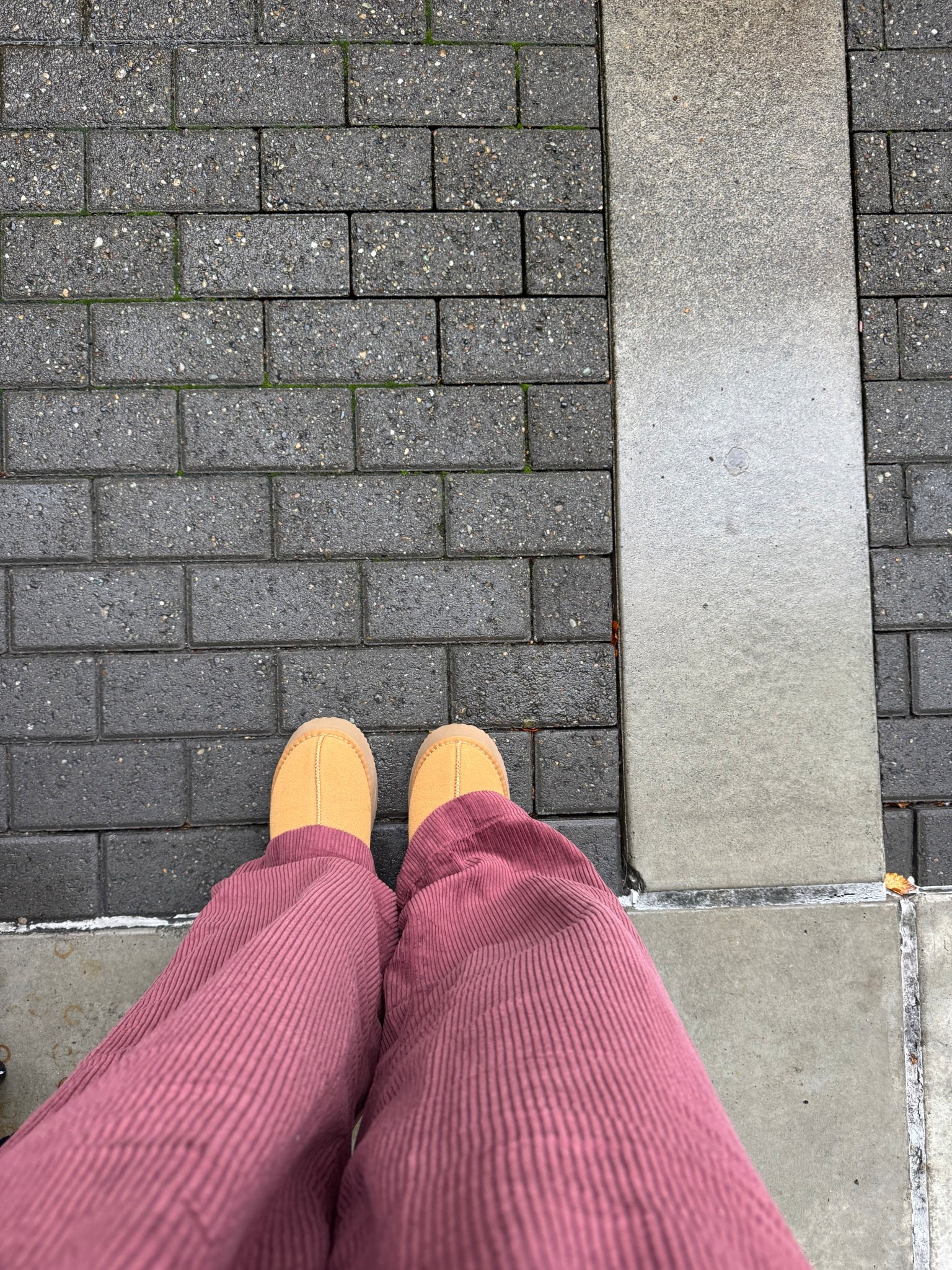 Perfect fall pants and Ugg dupes🍁

#LTKSeasonal