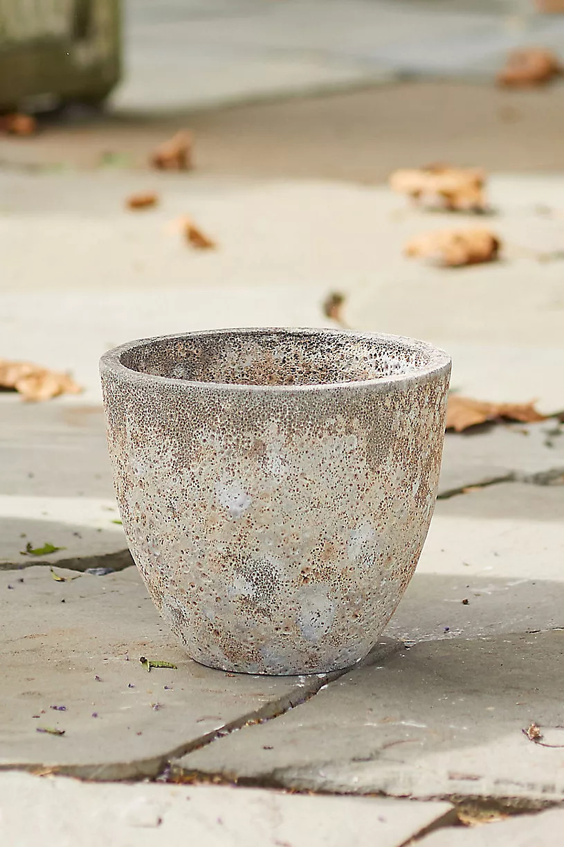 Barnacle Rounded Egg Planter | Terrain