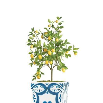 50" Outdoor Lemon Potted Tree | Frontgate