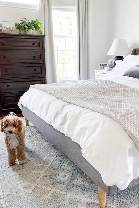 Just a few more days to save on our master bedroom rug -- it's my favorite thing about this space (besides Finn!) 💙

#LTKhome #LTKfamily #LTKsalealert