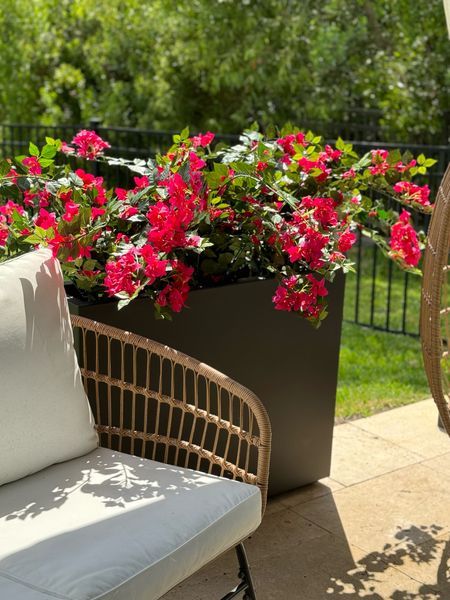 I have real bougainvillea in my front yard, and these look identical! 
And this planter is beautiful! I love that it doubles as a privacy screen. 

UV safe trees, Bougainvillea, outdoor entertaining, gazebo, fire pit 

#LTKfindsunder100 #LTKhome #LTKfindsunder50