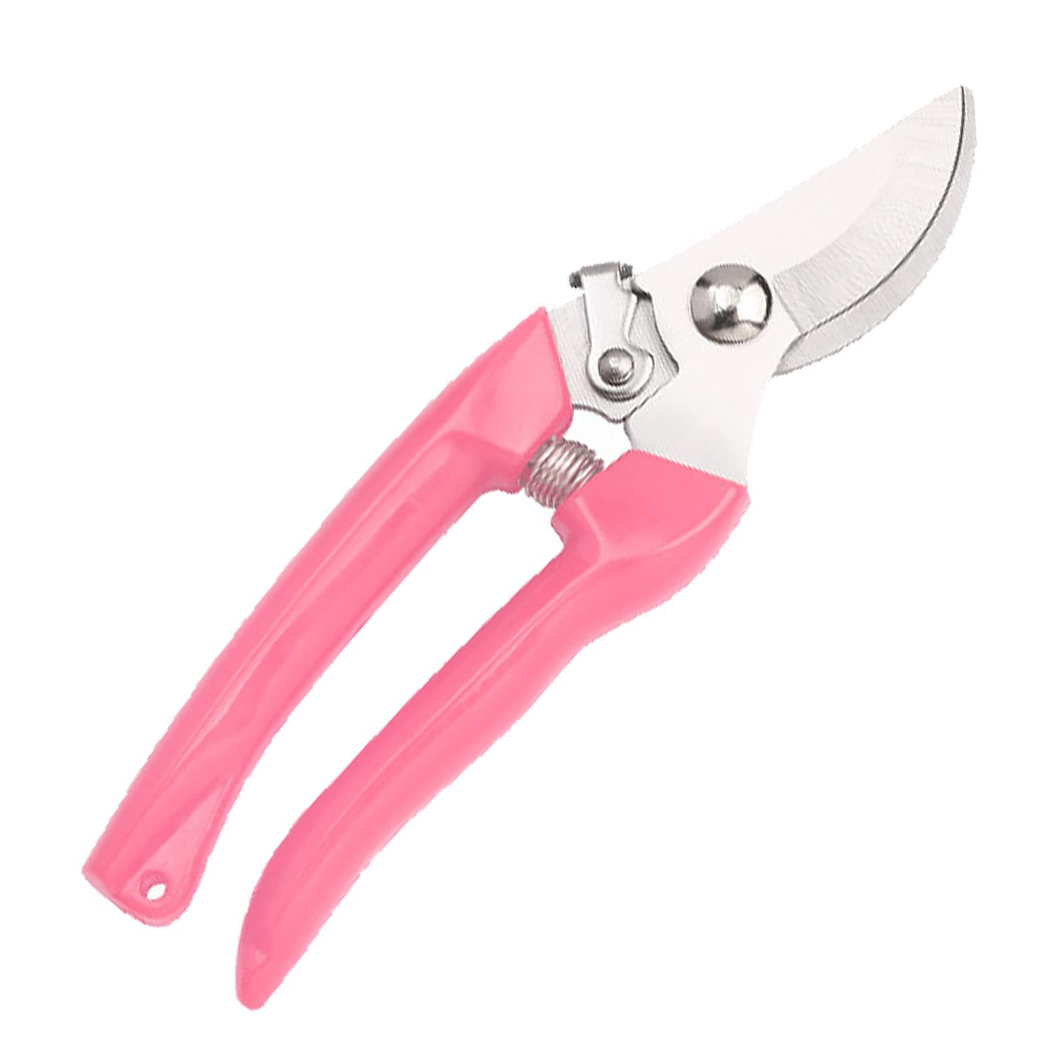 Curve Gardening Scissor with Sharp Stainless Steel Blade Garden Shears for Cutting Flowers Trimmi... | Amazon (US)