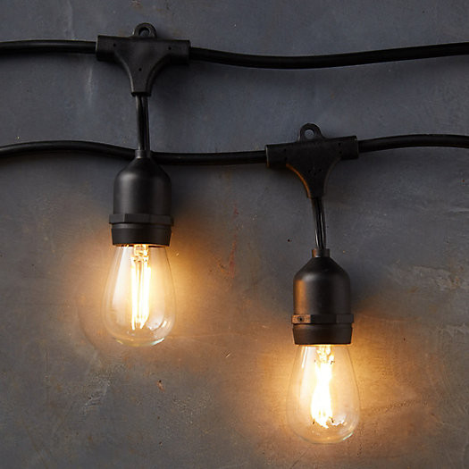 Commercial LED Light Strand, Black | Terrain